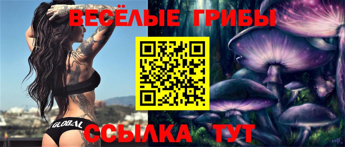 Псилоцибиновые грибы Psilocybe  Вход с VPN  Алапаевск  Галлюциногенные грибы Magic Shrooms 